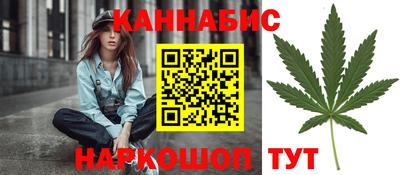apvp Гатчина