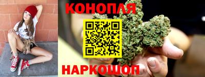 шишки Гагарин