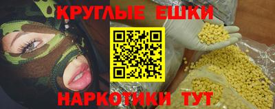 apvp Гатчина