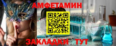 apvp Гатчина