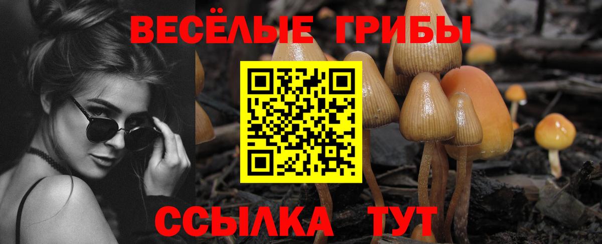 Галлюциногенные грибы мухоморы Балтийск