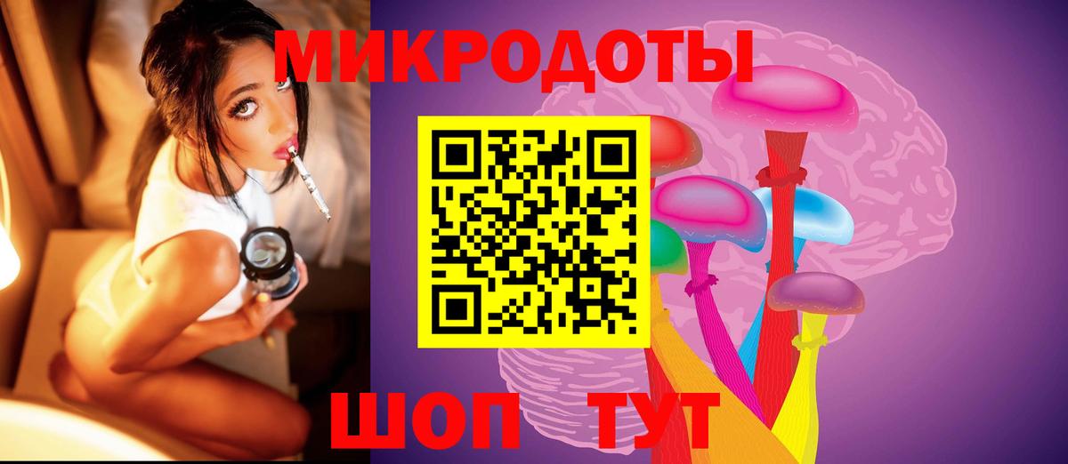 Балтийск  наркотики  Вход с VPN  Псилоцибиновые грибы прущие грибы 